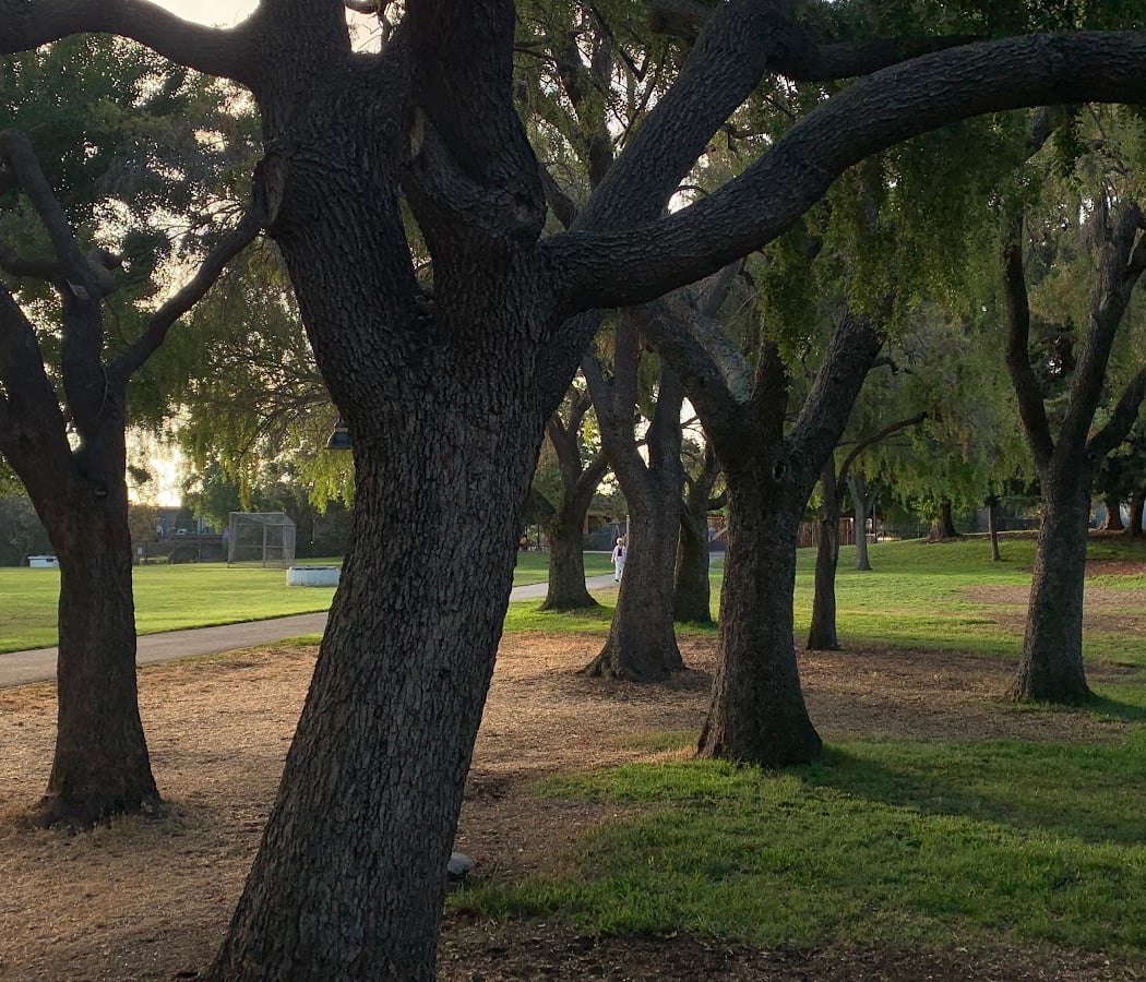Group Picnic Area | Rengstorff Park 3
