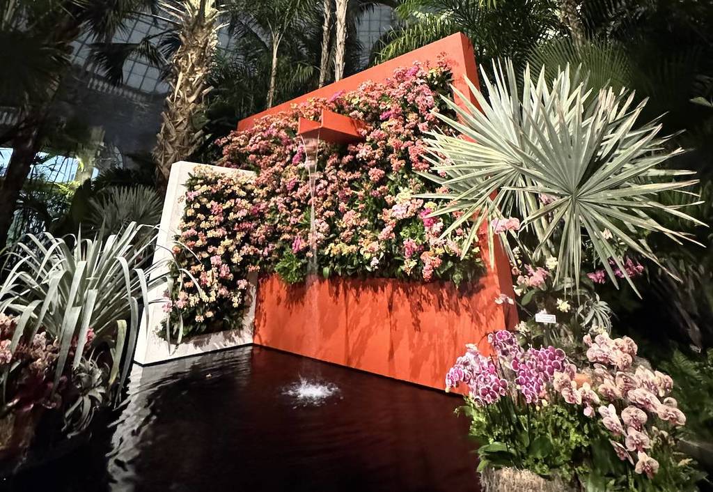The Orchid Show: Mexican Modernism 1