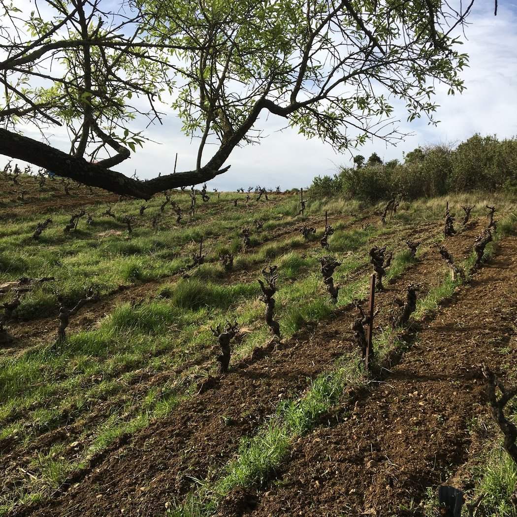 Domaine de Mena 1
