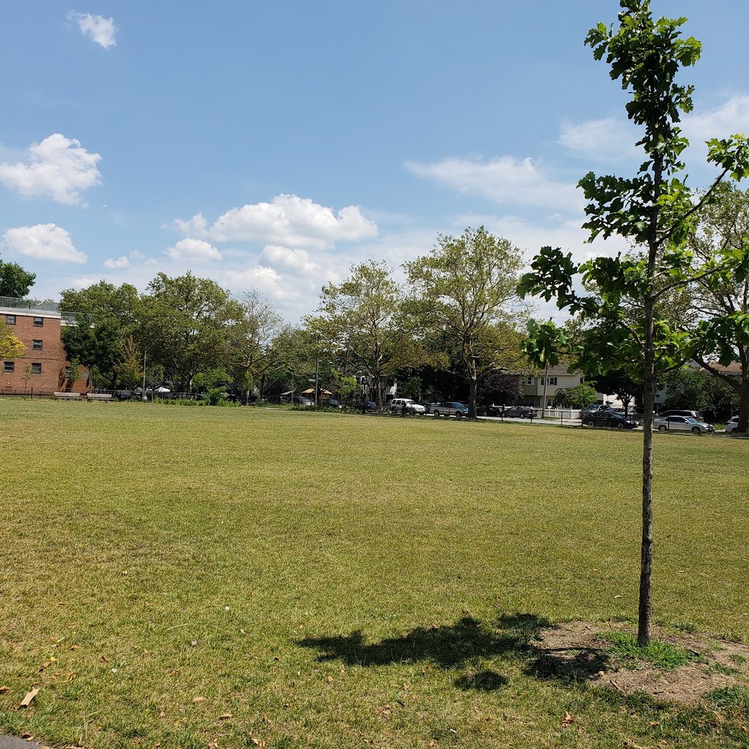 The Big Park 3