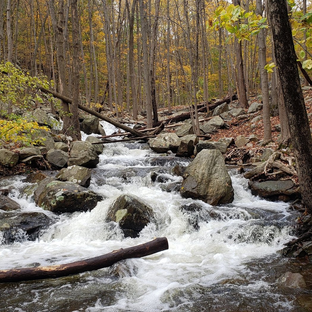 Ramapo Lake Trailhead 3