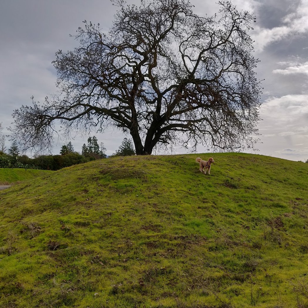 Las Juntas Open Space 2