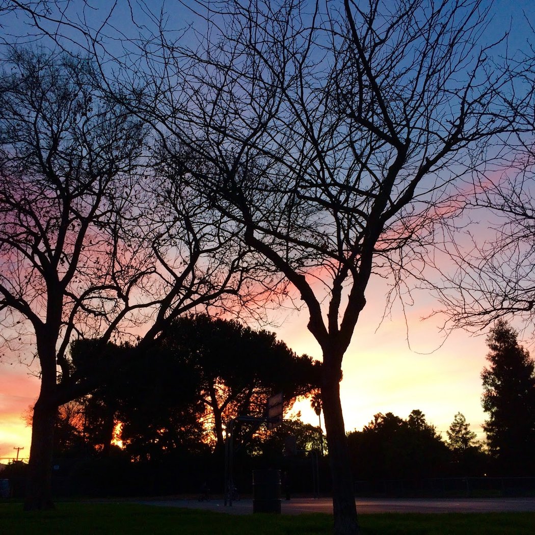 Kirk Park 3