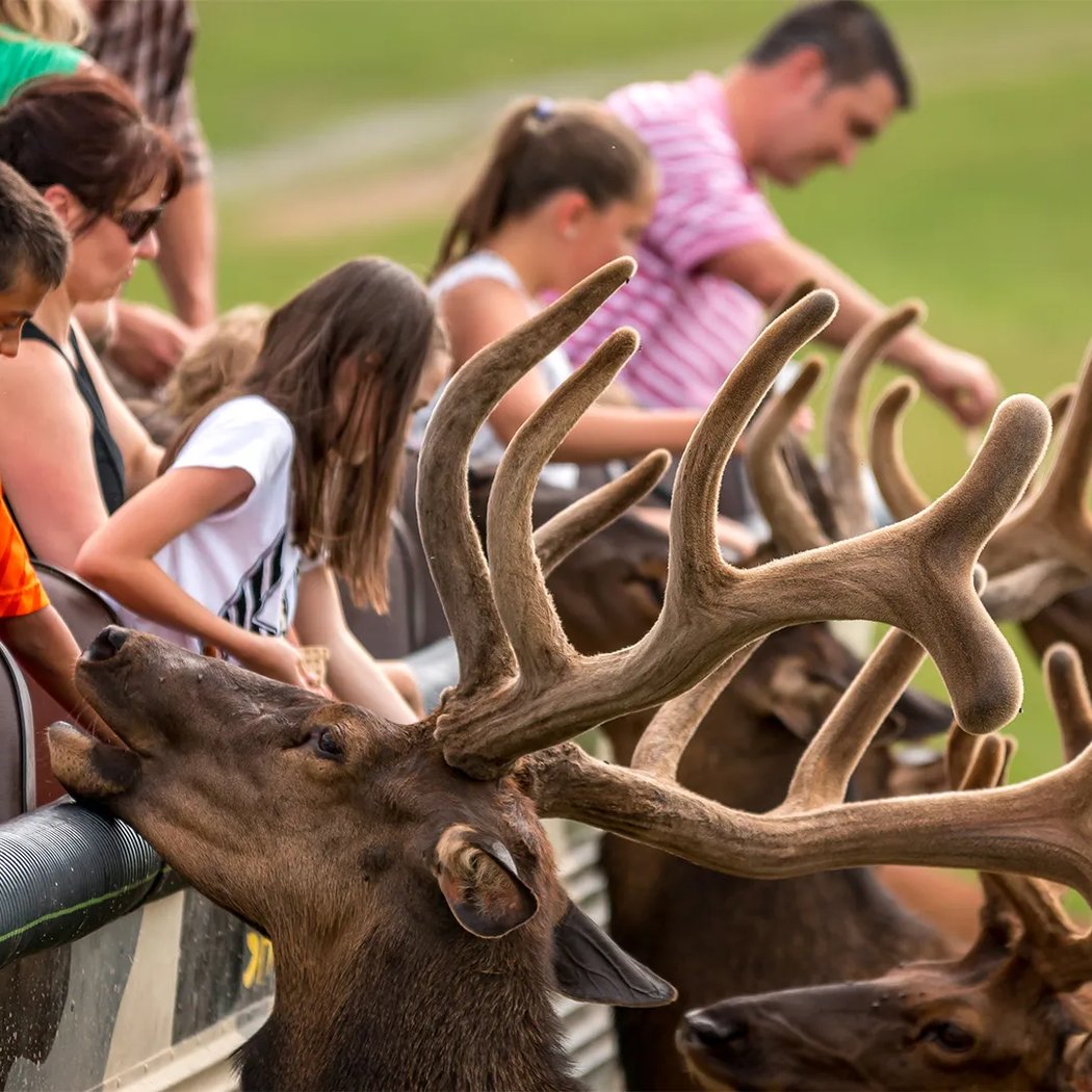 Lake Tobias Wildlife Park 3