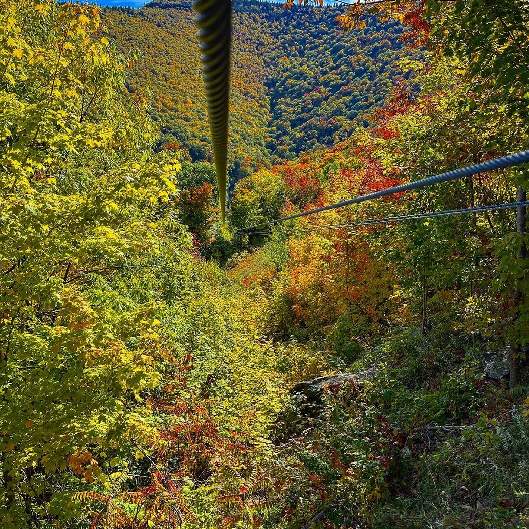 New York Zipline Adventures LLC 1