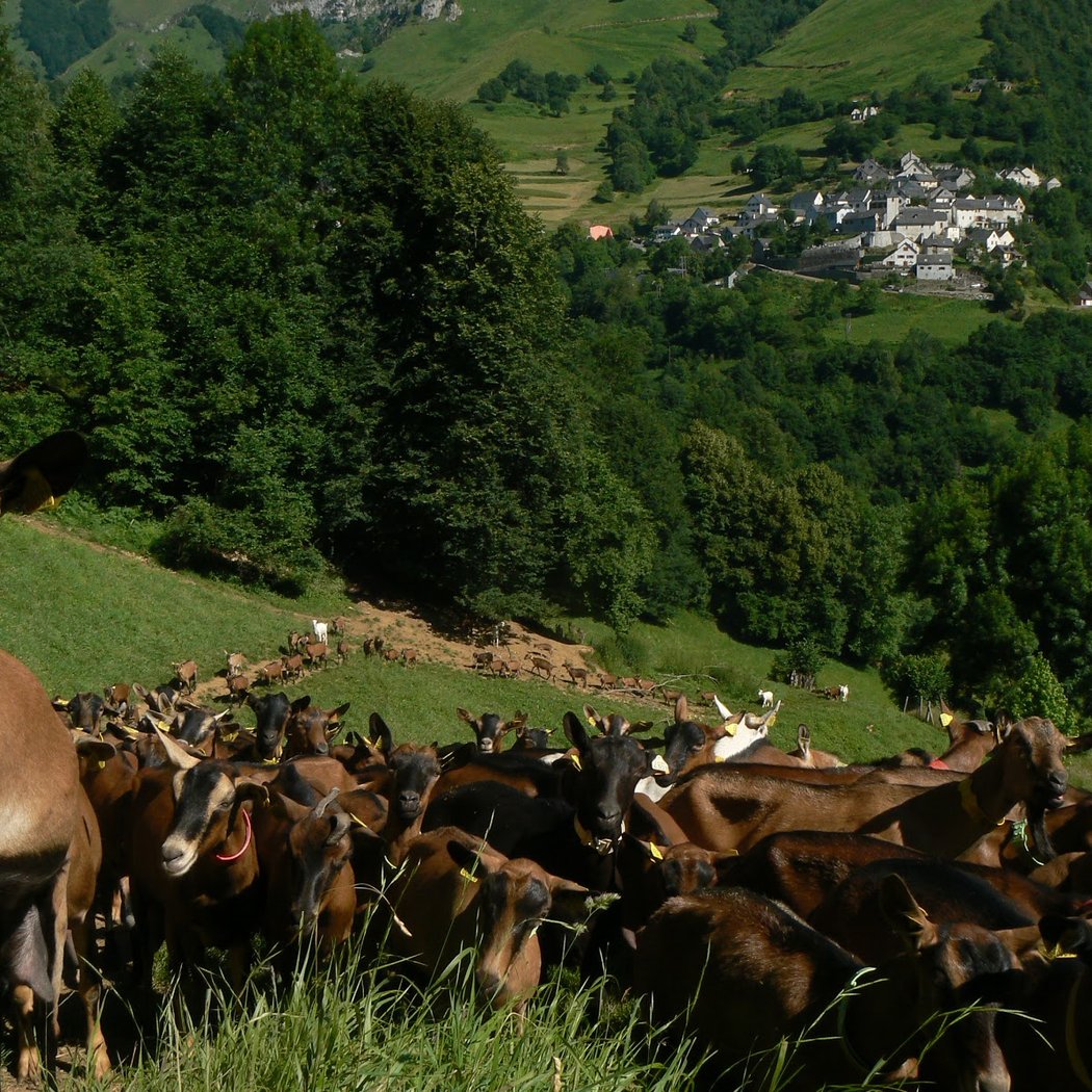 FERME DE LANSET 2