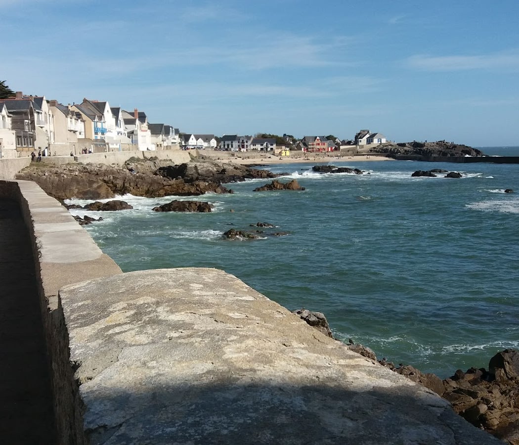 The wild coast 2