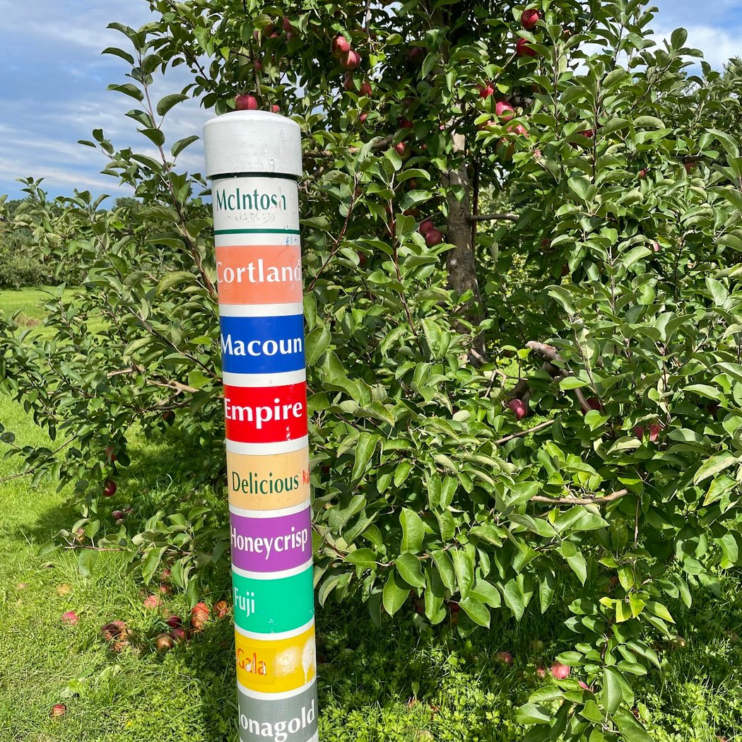 Doe Orchards 2