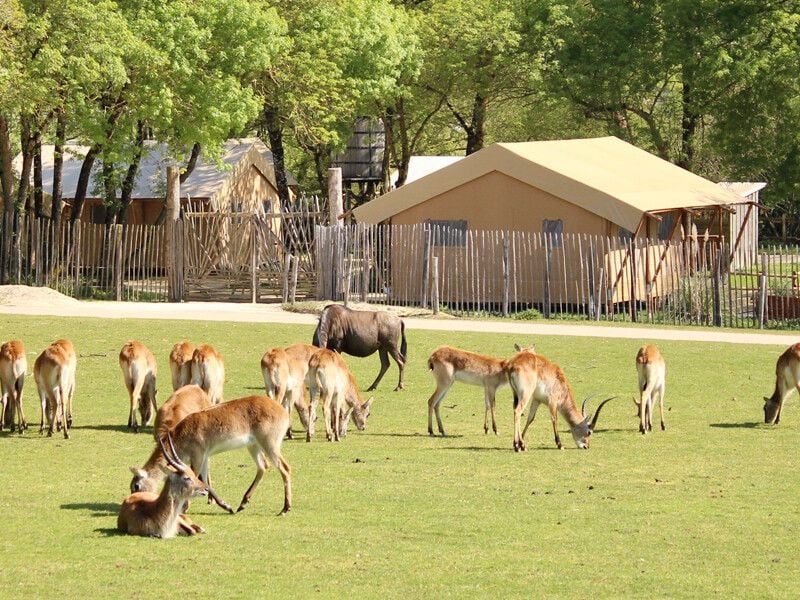 Bivouac en Tanzanie à Planète Sauvage 3