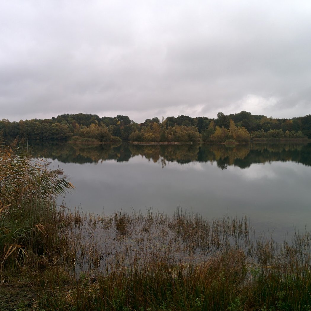 Natural Reserve La Bassée 1
