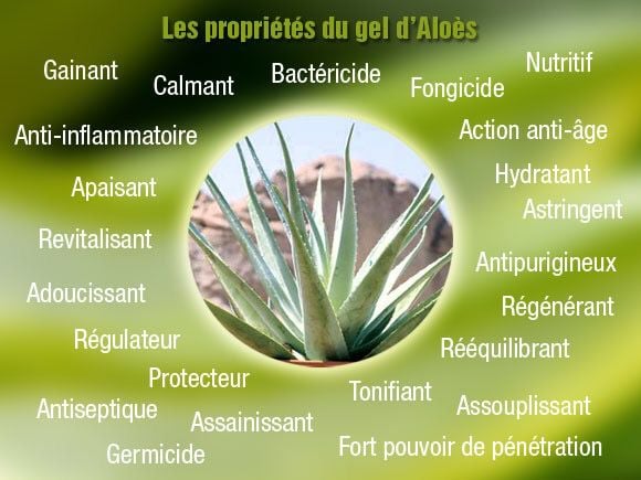 Boutouchent Abdelaziz Alexandre 2