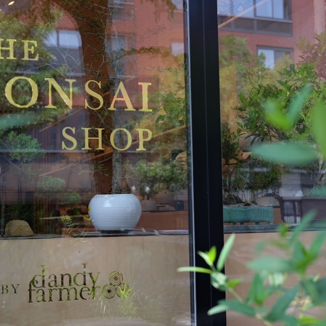 Bonsai Shop by Dandy Farmer 3
