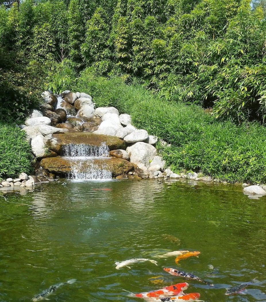 The Water Gardens 3