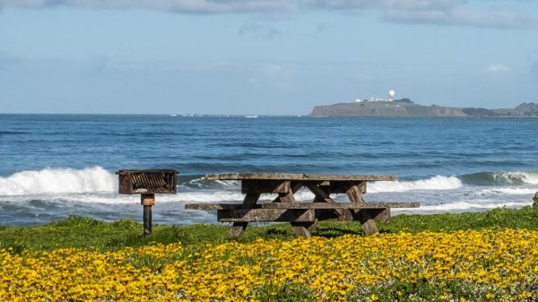 Francis Beach 3