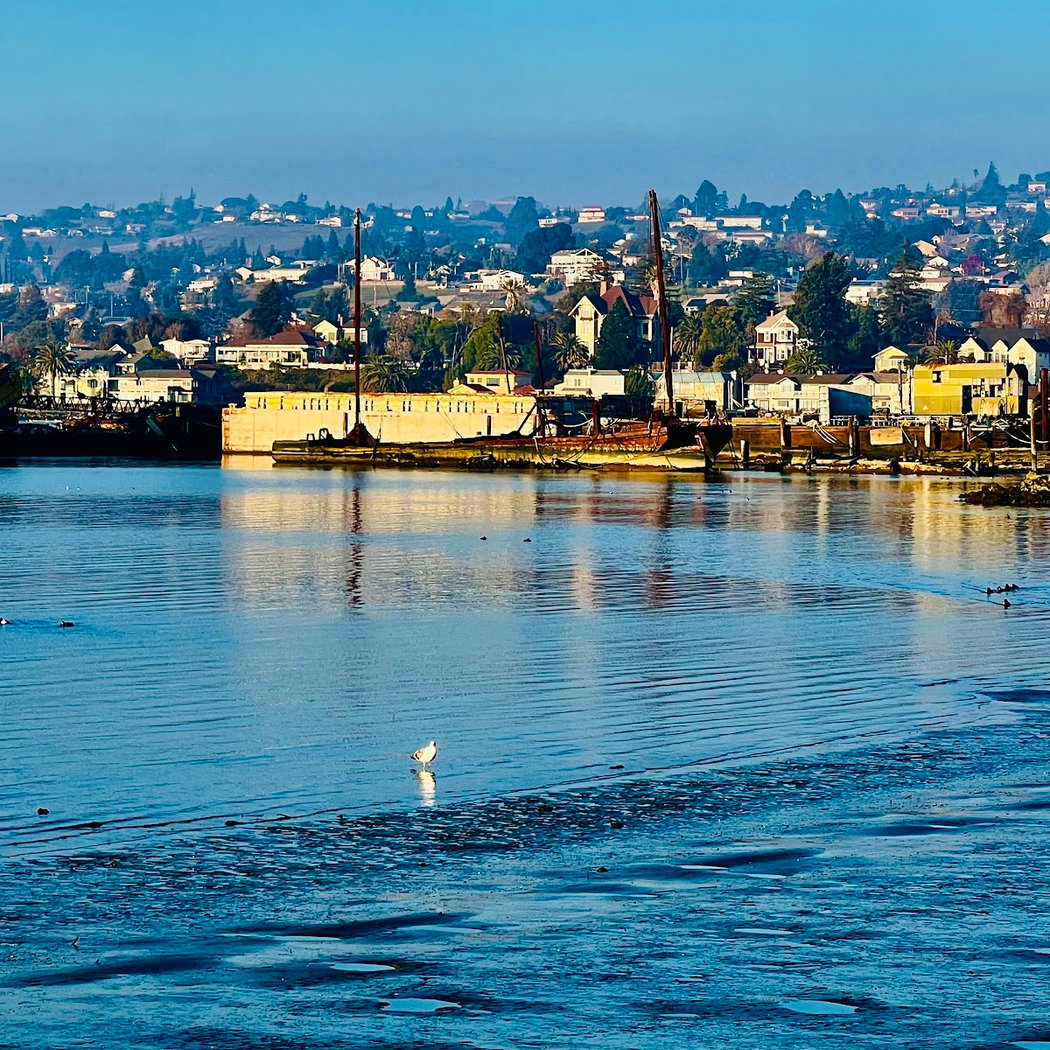 Point Benicia 2