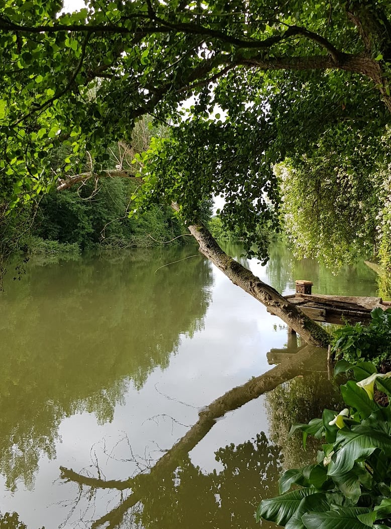 Saint-Hilaire-la-Gravelle 2