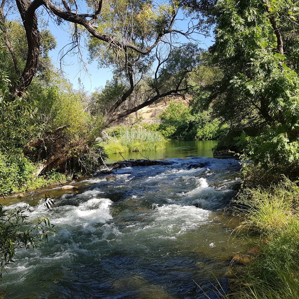 Lake Solano County Park 3