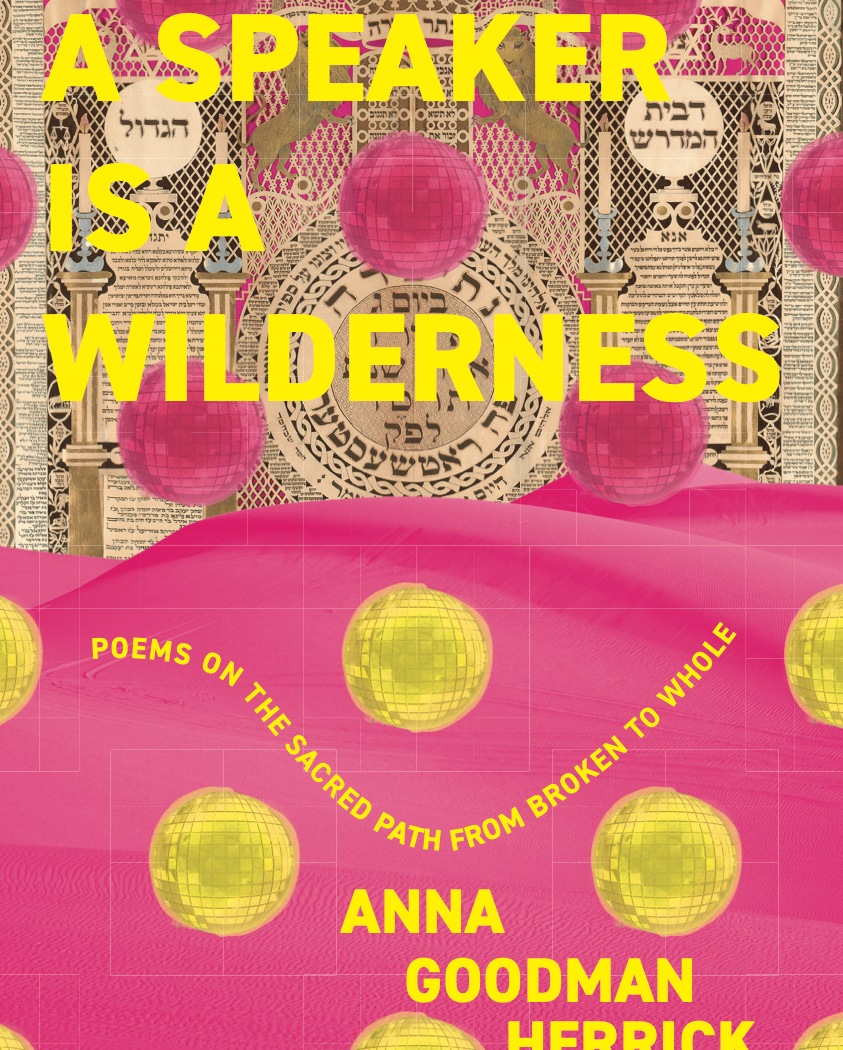 A Speaker is a Wilderness: Poems on the Sacred Path from Broken to Whole - Book Release Party 1