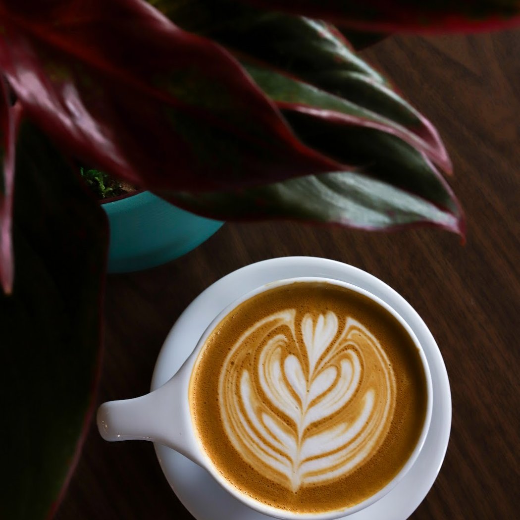 Kekoa Brew Co. Coffee Roasters 3