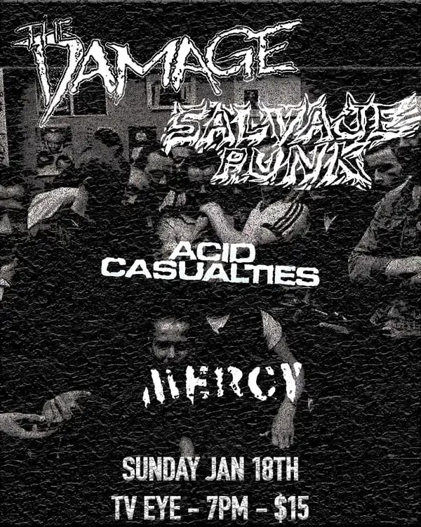 The Damage, Salvaje Punk, Acid Casualties, MERCY 1