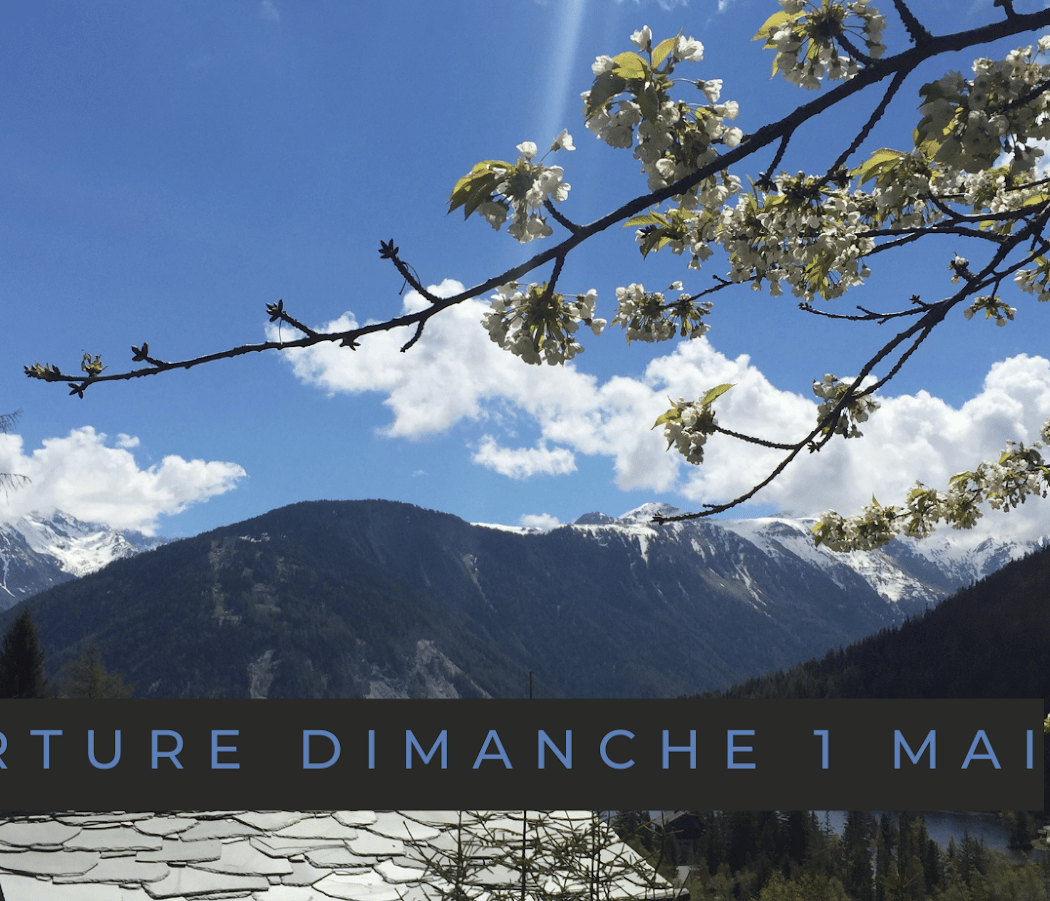 alpin Flore-Alpe Botanical Garden 2
