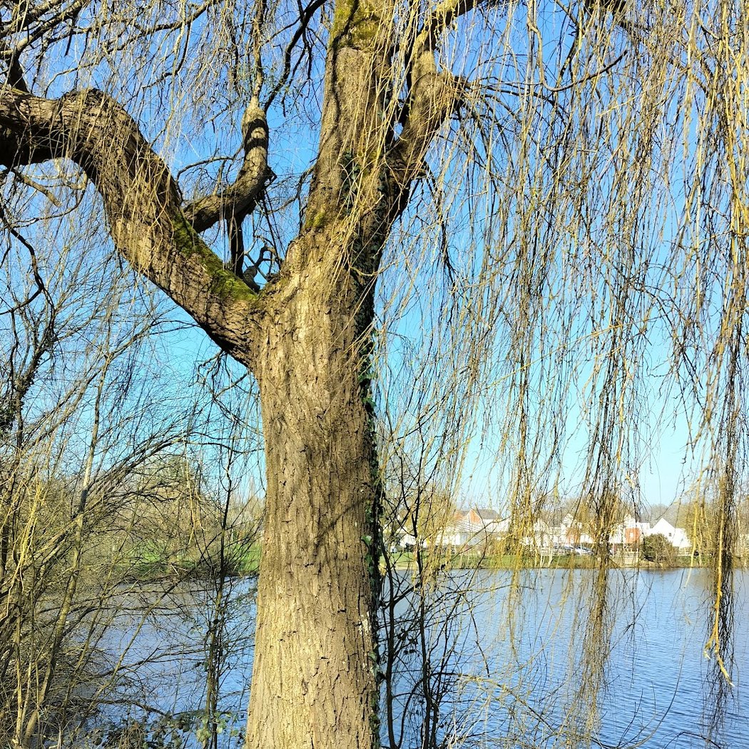 Evénements à Nantes 3