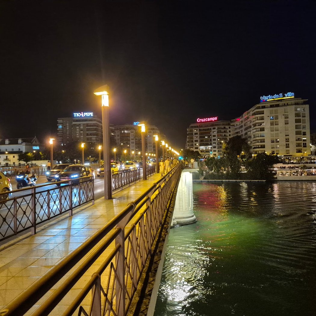 Puente de San Telmo 1