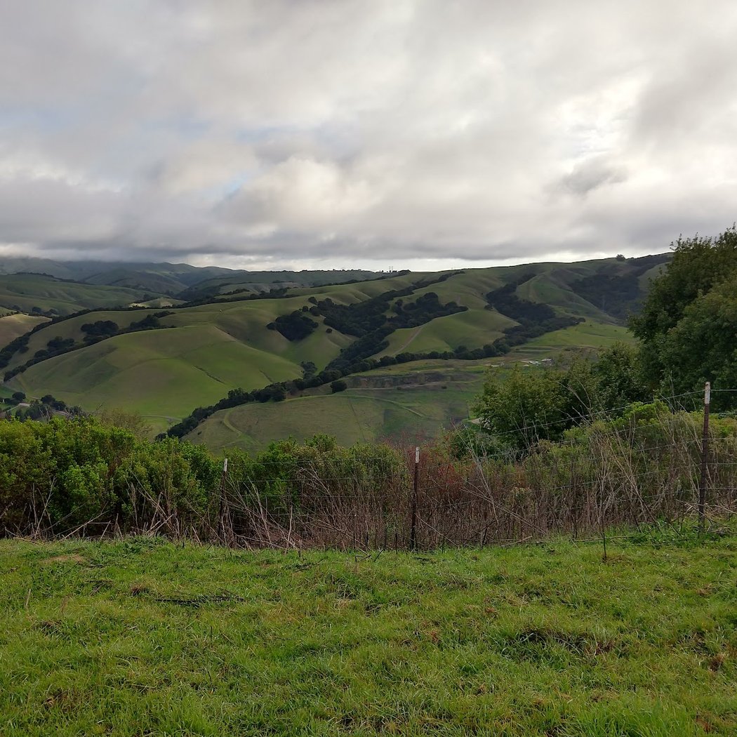 Five Canyons Open Space 3