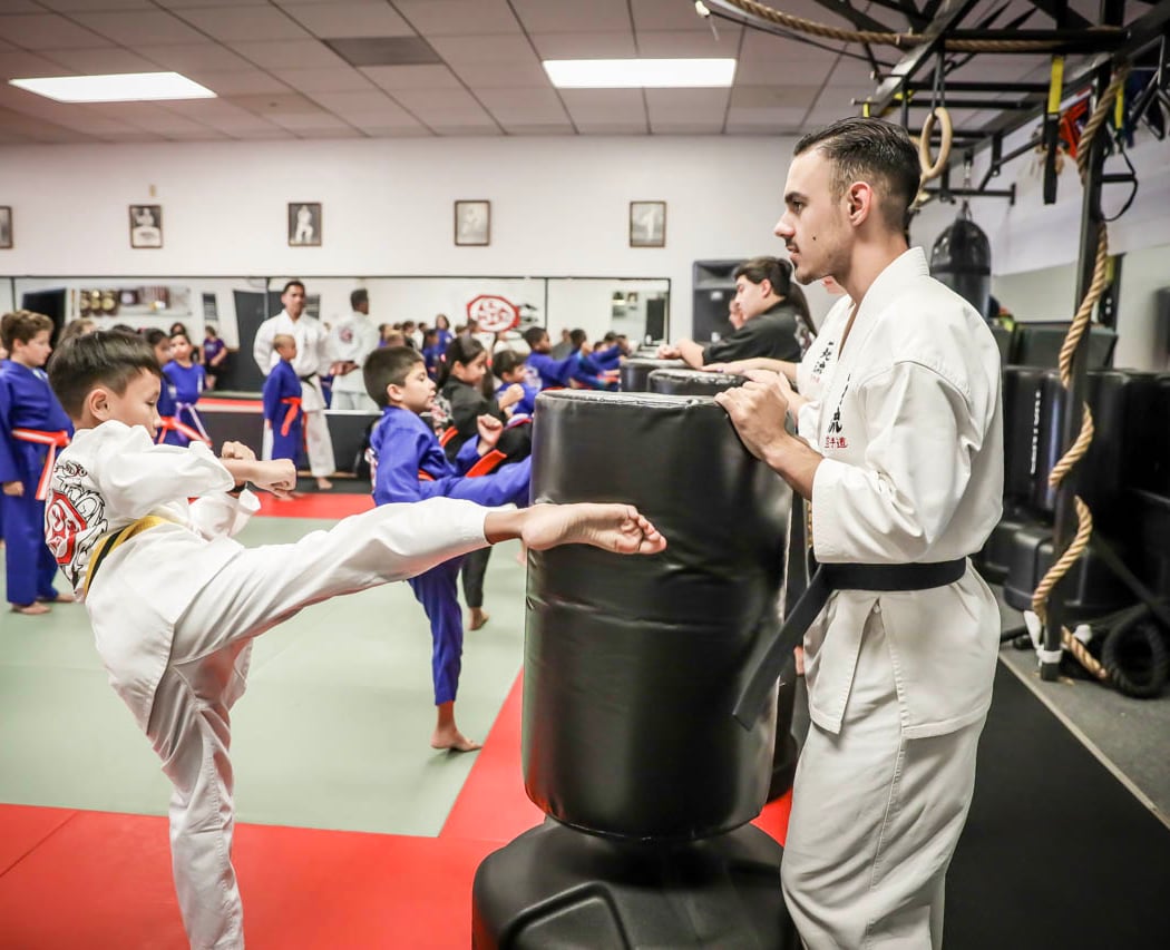 Felipe's Championship Martial Arts 1