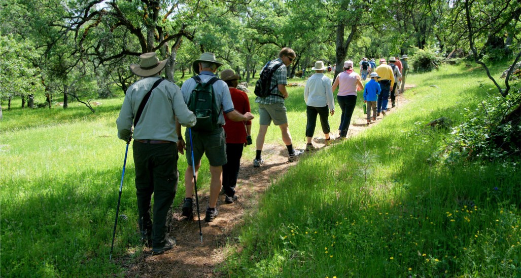 Hike with a Naturalist 1