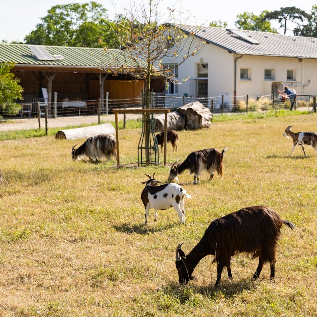 L'eau à la ferme, et découverte de la mare écologique 2