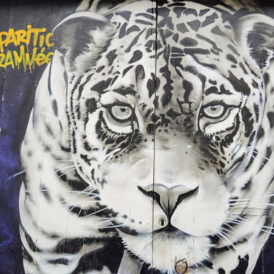 Street Art Crey 132 "Disparition programmée" 1