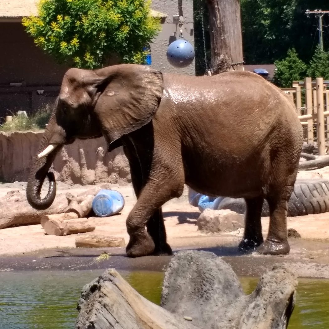 Seneca Park Zoo 3