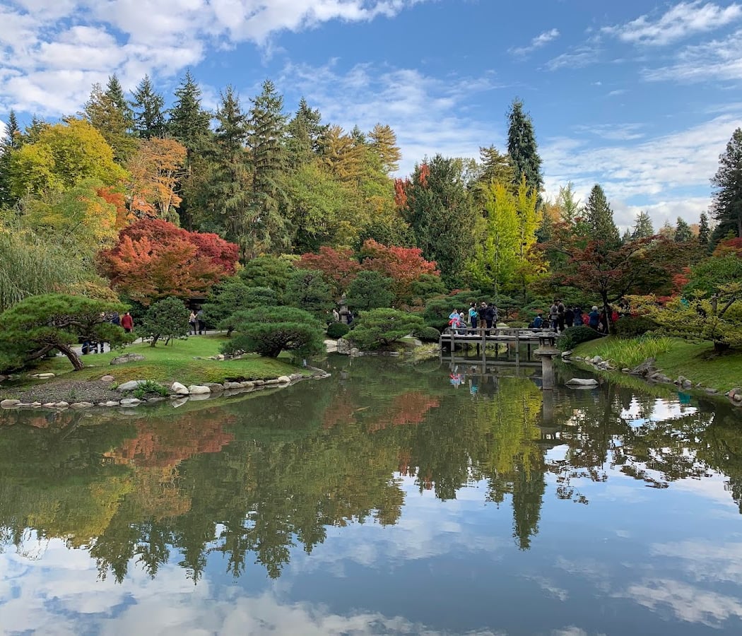 Washington Park Arboretum 2