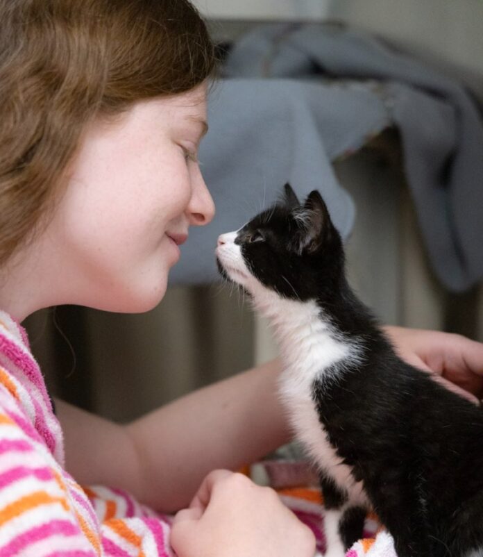 Tiny Lions Lounge & Adoption Center 1