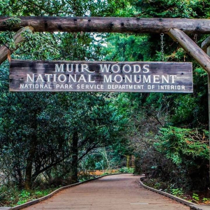 Muir Woods: Half-Day Trip from San Francisco 3