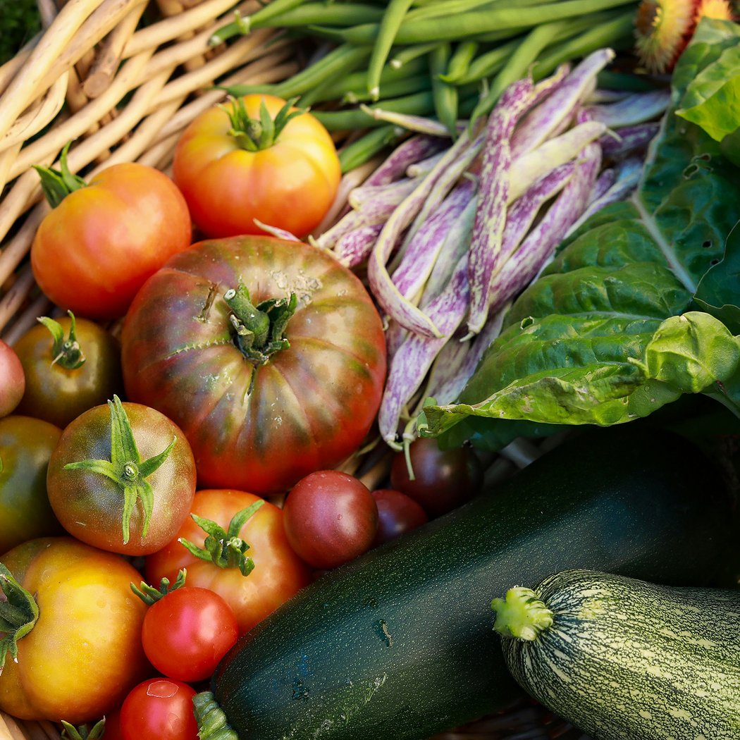 Grand Lake Farmers Market 1