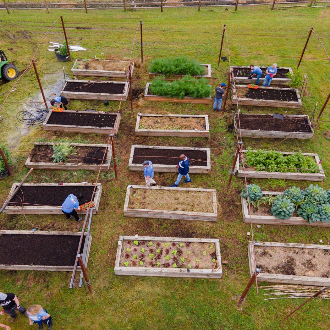 Weekday Work at the Extension Farm 1
