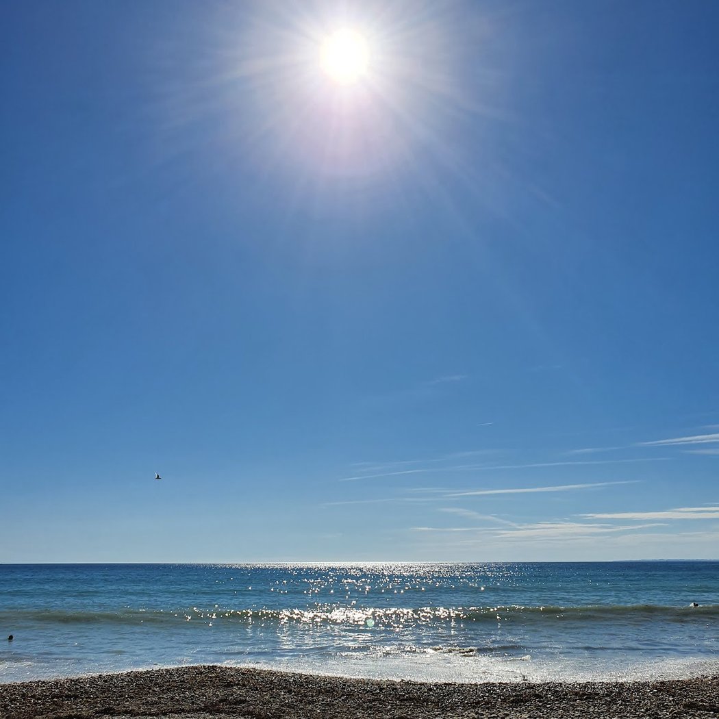 Beach Mane Guen 2