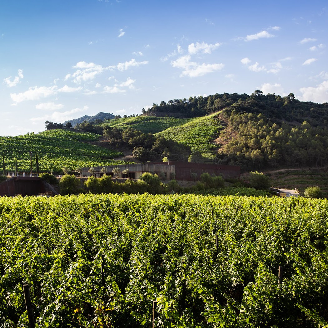 Perinet winery | Bodega&enoturismo 2