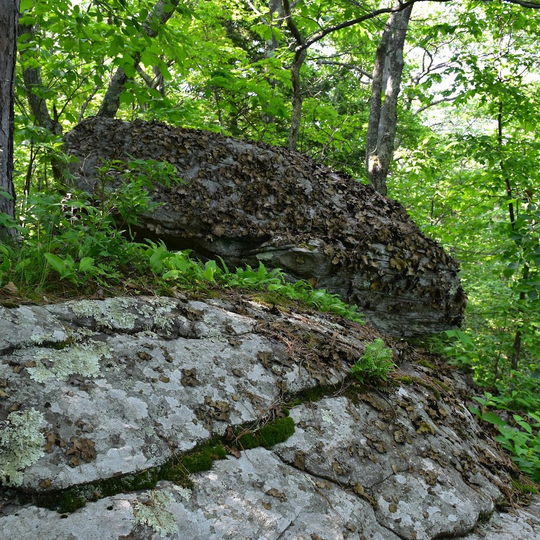 Newman's Ledge 3