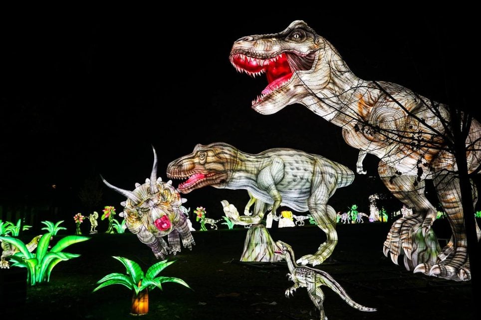 Le Japon en lumières, le festival des lanternes 1