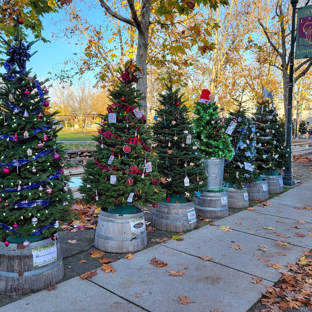 Annual Winter Wine Walk 1