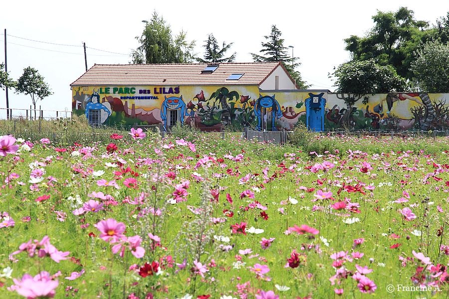 Parc départemental des Lilas 3