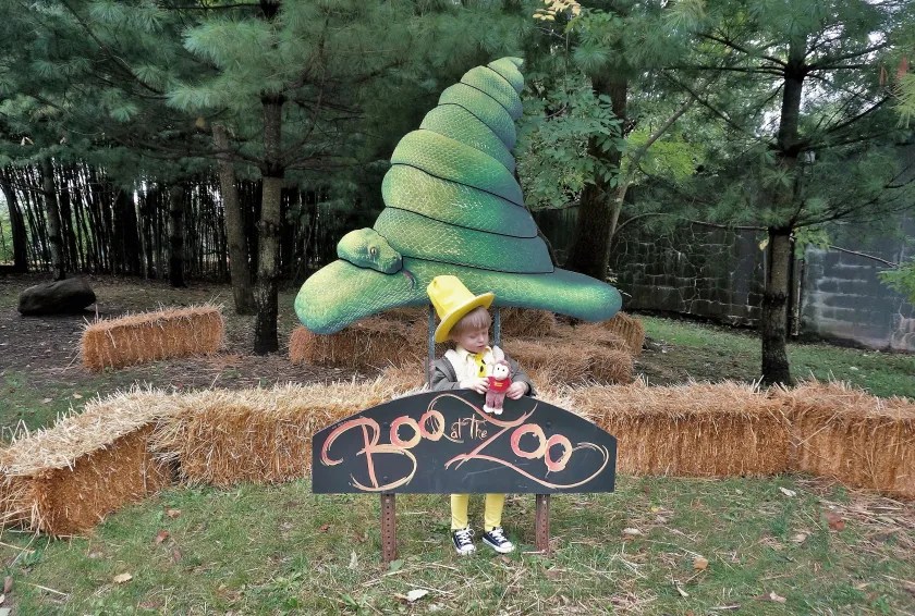 Boo at the Zoo 3