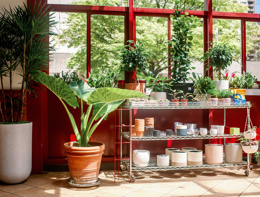 Ceramic Planter Workshop 2