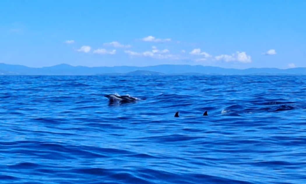 Cap Sud Horizon 2
