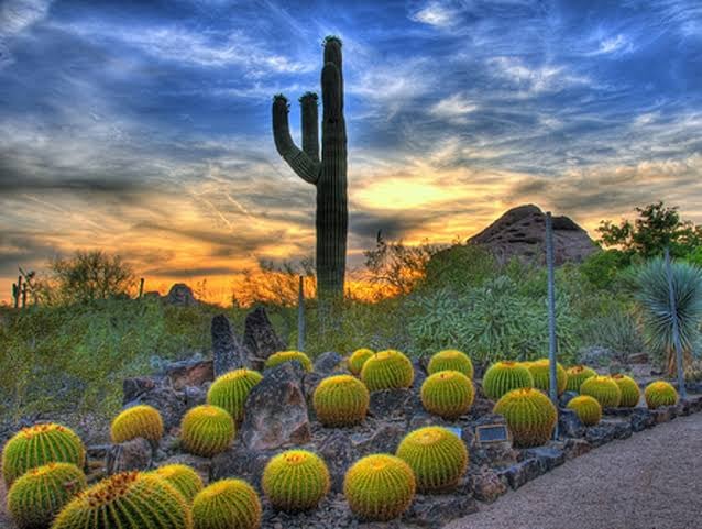 Wellness Wednesdays: Sunset Sound Meditation 2