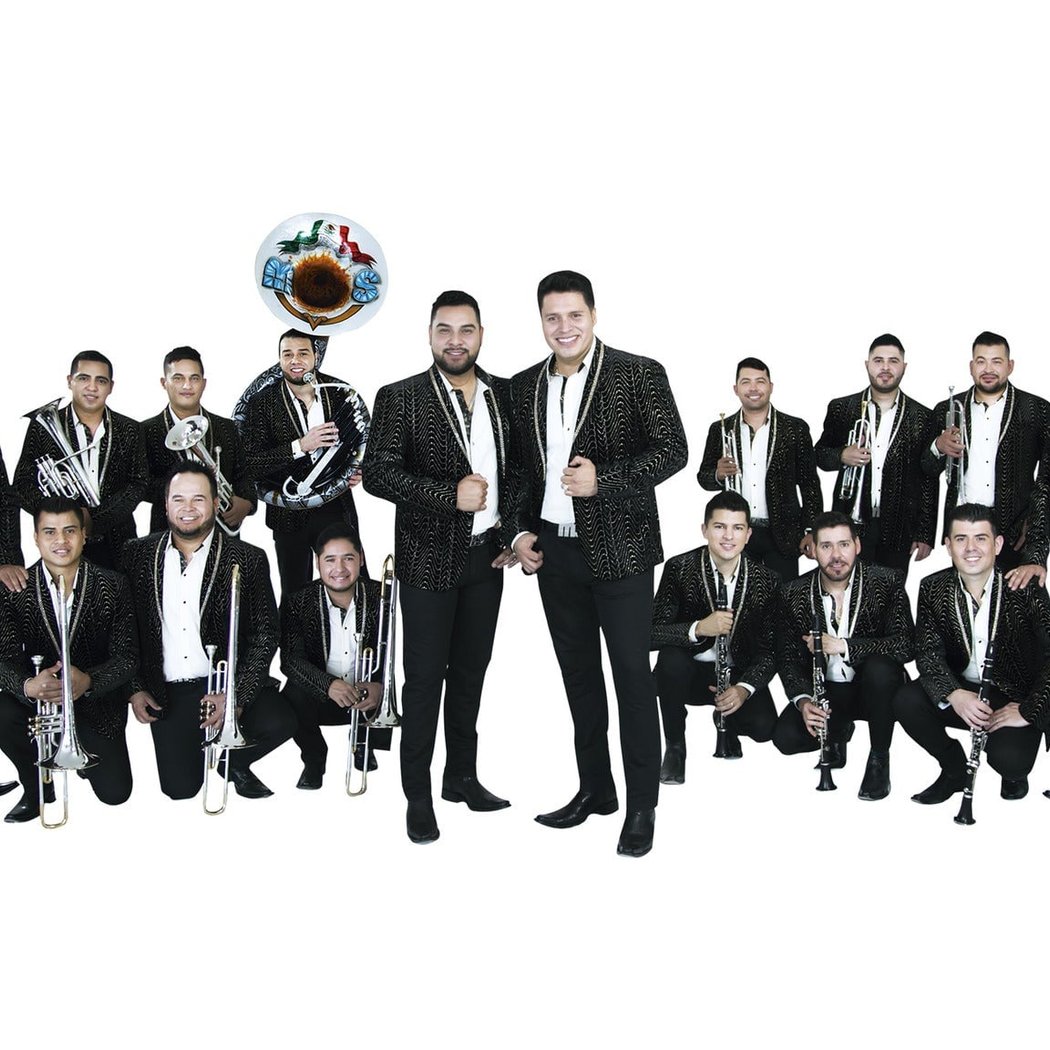 Banda MS 1