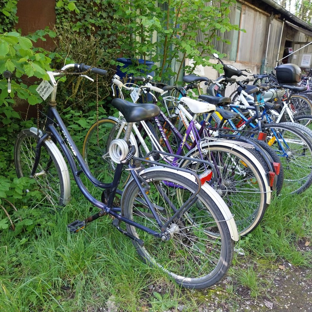 Atelier Vélo Père et Fils 3